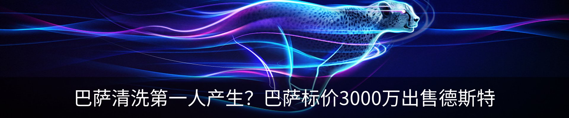 新闻动态