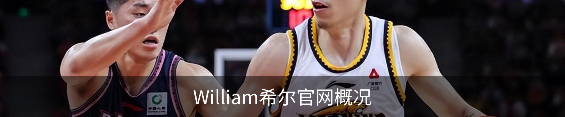 William希尔官网概况